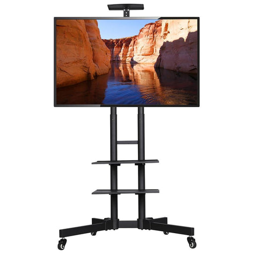 portable tv stand on wheels