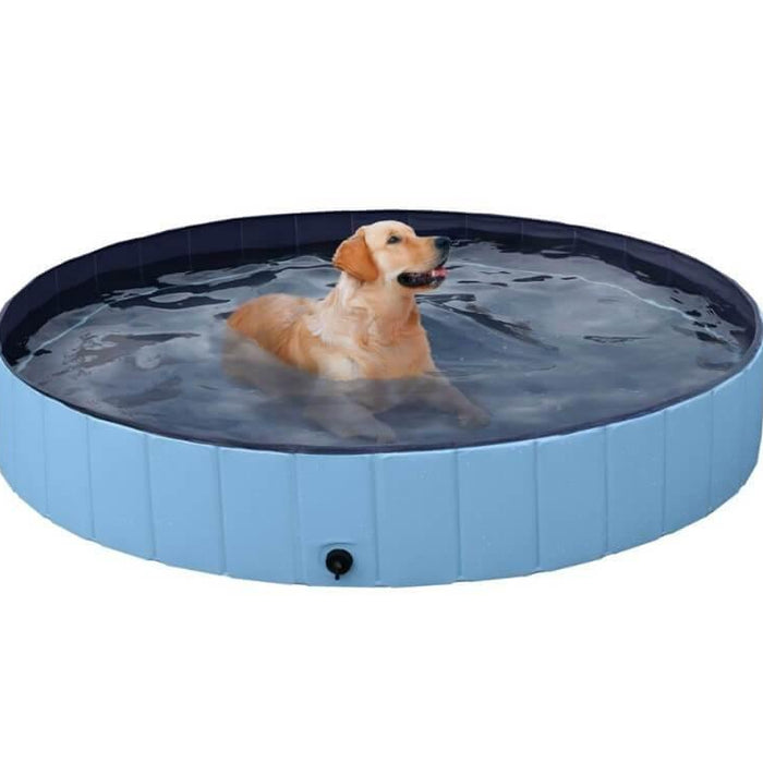How to Choose a Dog Pool?