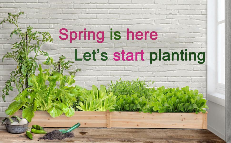 Plant vegetables at home with raised garden beds this spring