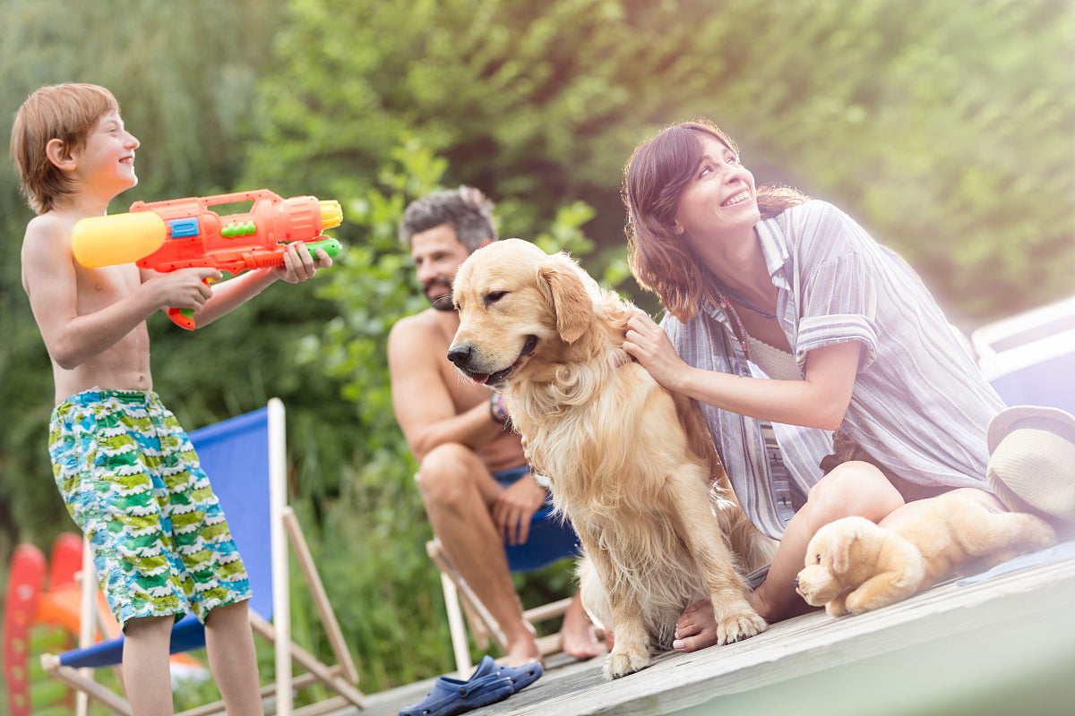 How to Install and Maintain an Inflatable Water Slide for Your Endless Summer Fun