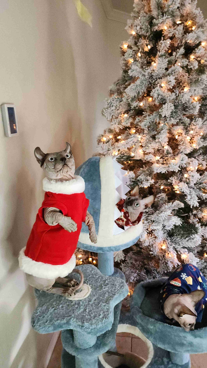 multi level cat tower