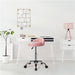 Rolling Salon Stool