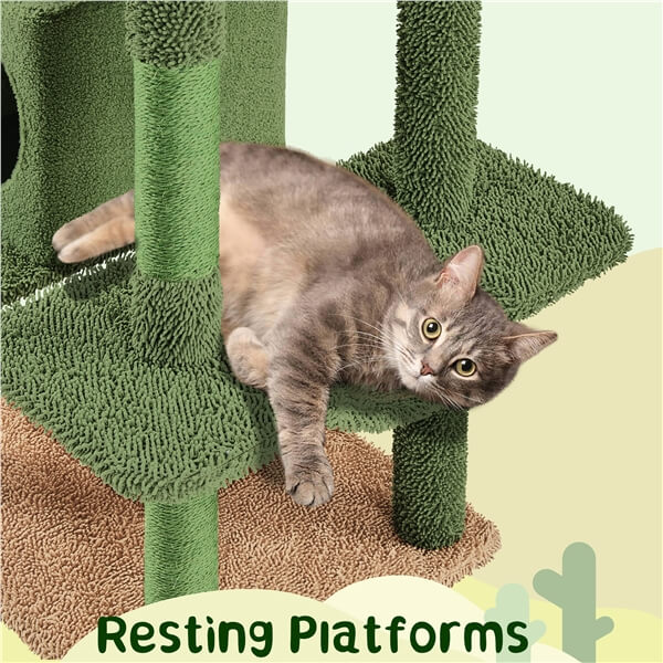 realistic indoor cat tree