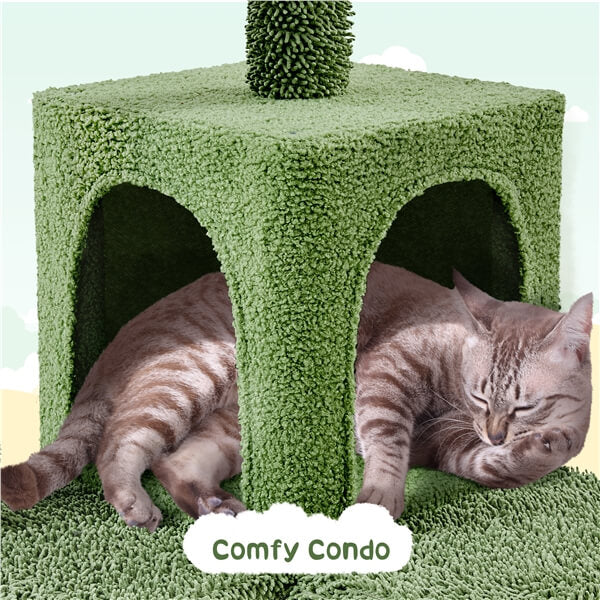 kitty condos for large cats