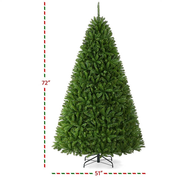 douglas christmas tree