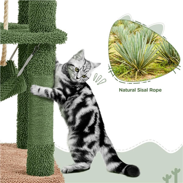 cactus tree cat