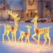lighted led deer family set of 3
