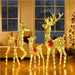 led reindeer family