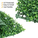 Artificial Boxwood