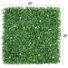 Artificial Boxwood