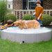  Pet Pool