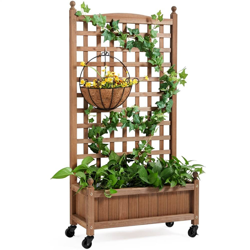 Planter Box with Trellis