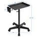 Salon Tray