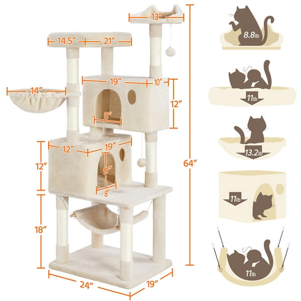 Cat House