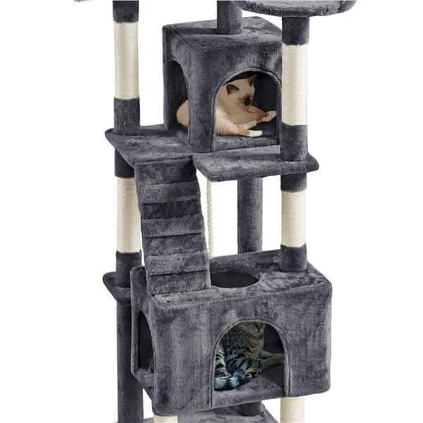 xl cat condo