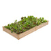 metal garden beds
