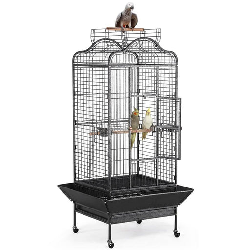 Parrot Cage 