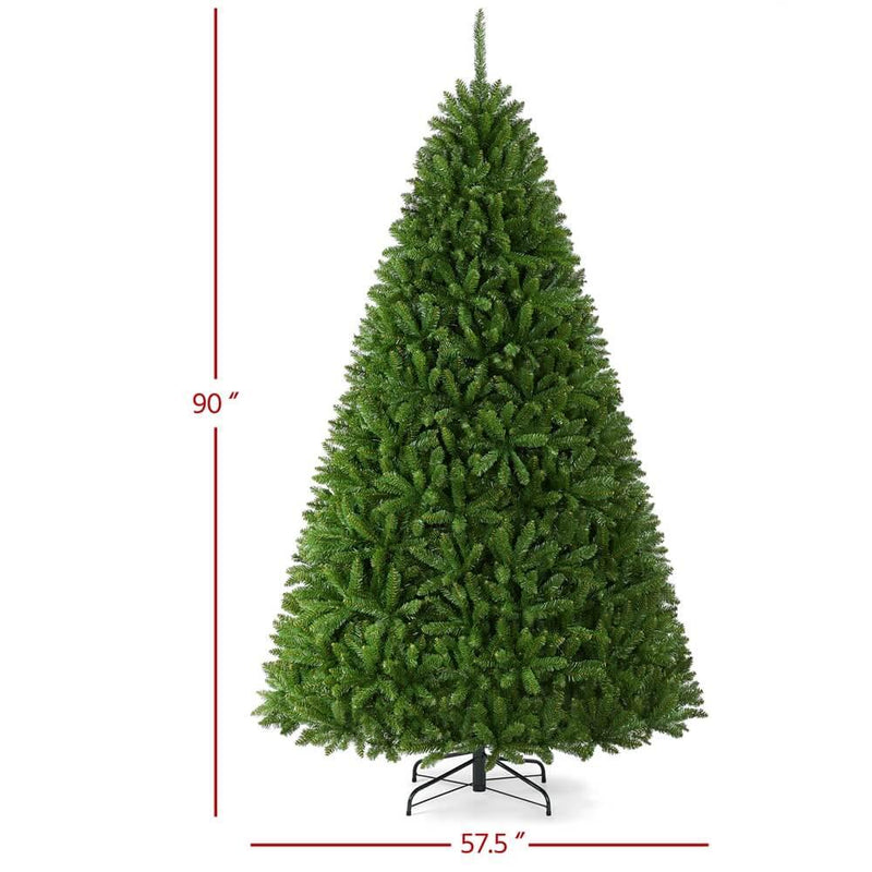 best type of christmas tree