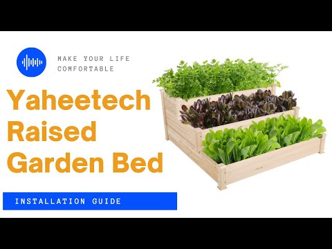 best raised garden beds